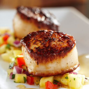 Scallops